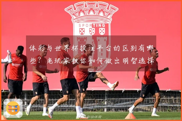 体彩与世界杯投注平台的区别有哪些？老玩家教你如何做出明智选择