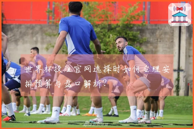世界杯投注官网选择时如何合理安排预算与盘口解析？