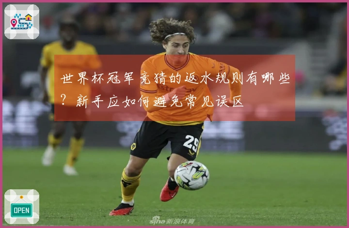 世界杯冠军竞猜的返水规则有哪些？新手应如何避免常见误区