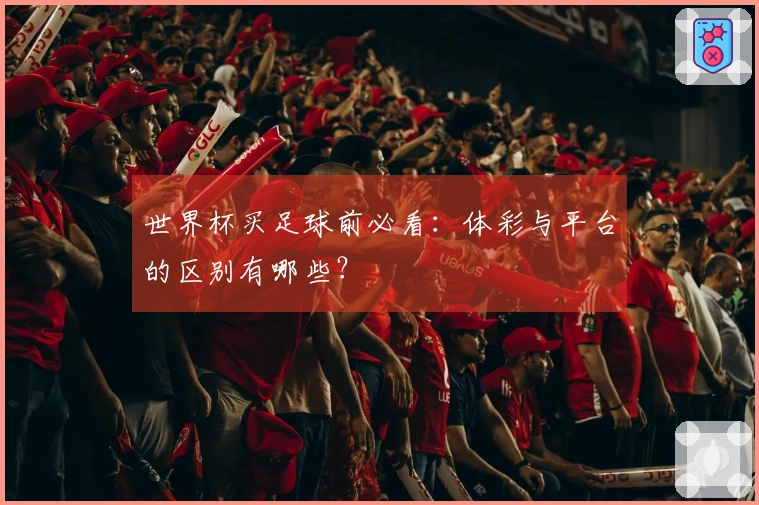 世界杯买足球前必看：体彩与平台的区别有哪些？
