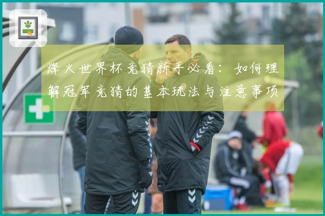 烽火世界杯竞猜新手必看：如何理解冠军竞猜的基本玩法与注意事项