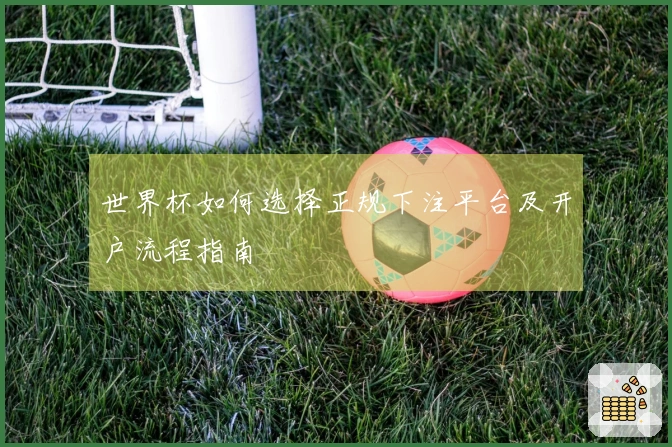 世界杯如何选择正规下注平台及开户流程指南