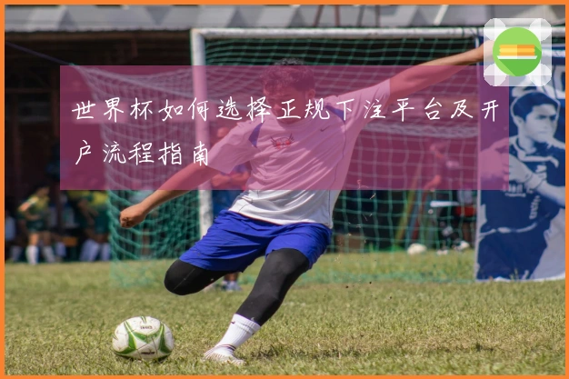 世界杯如何选择正规下注平台及开户流程指南